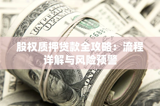 武汉股权质押贷款全攻略：流程详解与风险预警