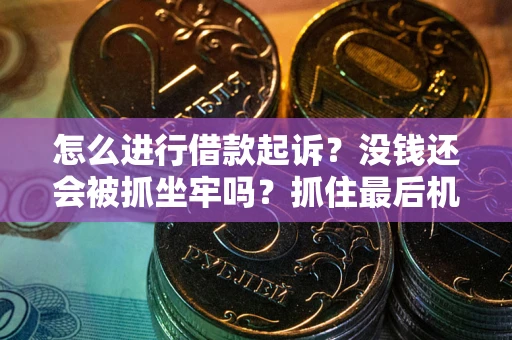 武汉怎么进行借款起诉？没钱还会被抓坐牢吗？抓住最后机会！