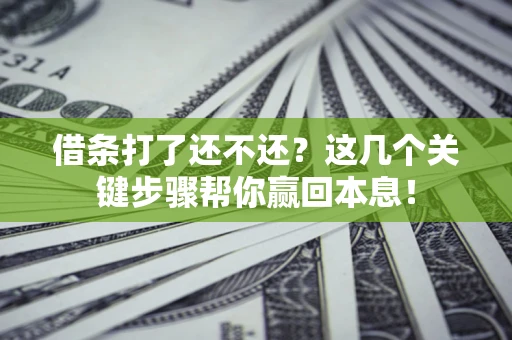 武汉借条打了还不还？这几个关键步骤帮你赢回本息！