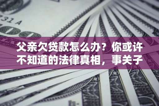 武汉父亲欠贷款怎么办？你或许不知道的法律真相，事关子女未来