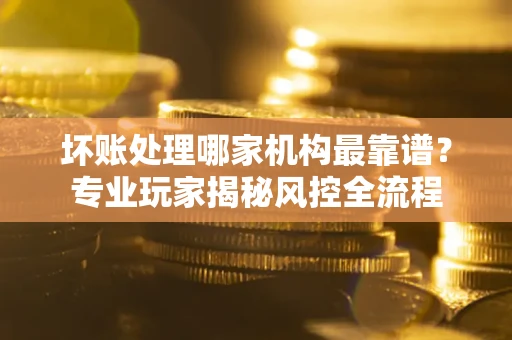 武汉坏账处理哪家机构最靠谱？专业玩家揭秘风控全流程