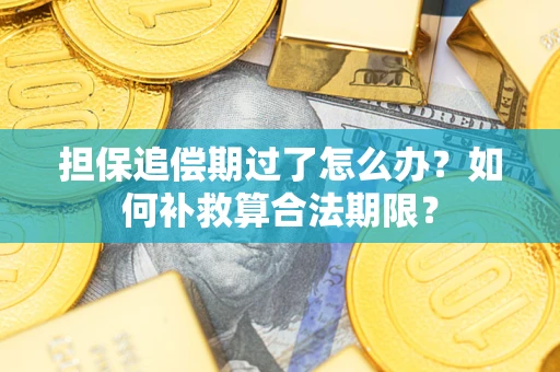 武汉担保追偿期过了怎么办？如何补救算合法期限？