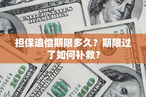 武汉担保追偿期限多久？期限过了如何补救？