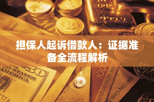 武汉担保人起诉借款人：证据准备全流程解析