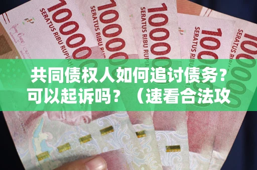 武汉共同债权人如何追讨债务？可以起诉吗？（速看合法攻略）