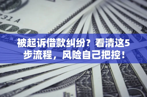 武汉被起诉借款纠纷？看清这5步流程，风险自己把控！