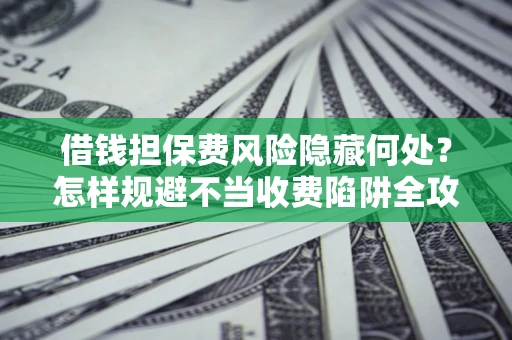 武汉借钱担保费风险隐藏何处？怎样规避不当收费陷阱全攻略！