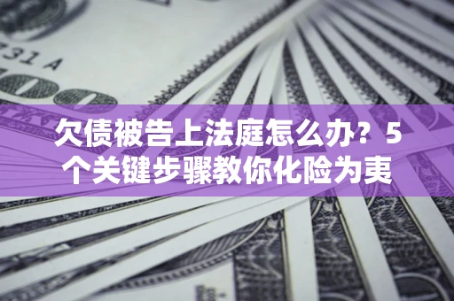 武汉欠债被告上法庭怎么办？5个关键步骤教你化险为夷