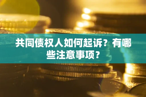武汉共同债权人如何起诉？有哪些注意事项？